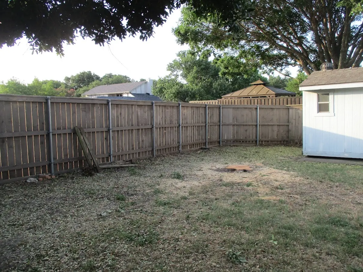 Cleared yard after professional tree removal in Mount Carmel